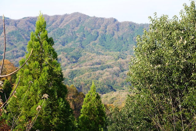 鳥取県西伯郡南部町上中谷 林道上中谷線からの眺望