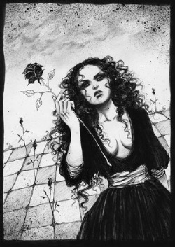 evolution_of_a_black_rose__by_vinegar