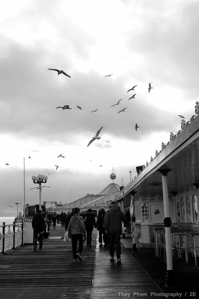 Brighton day trip photo diary