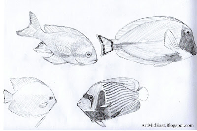 How to Draw a Fish Step by step Drawing Lessons