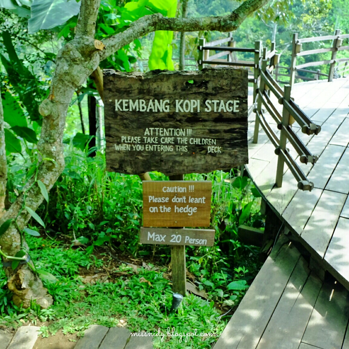 kembang kopi stage at bali pulina