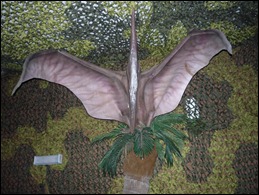 P1010185
