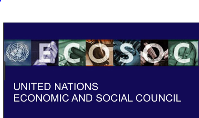 THE ECONOMIC AND SOCIAL COUNCIL 