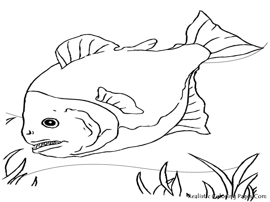 Fish Realistic Coloring Pages | Realistic Coloring Pages