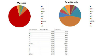 التنوع وتوزع السلالات الجينية الأبوية عند المغاربة ينفي أصولهم العربية