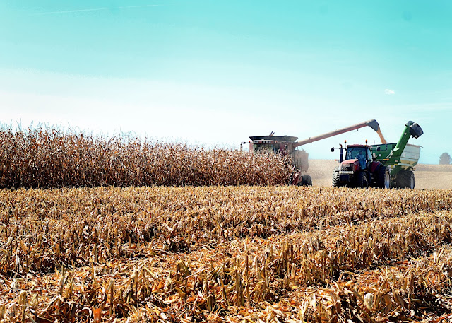 How long does planting and harvest last on a farm?