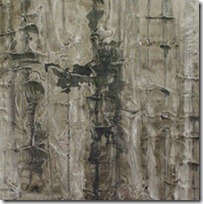 bark study crop 2