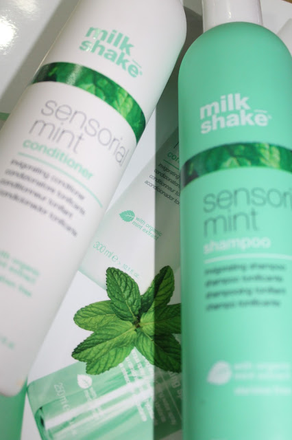 Sensorial Mint shampoo