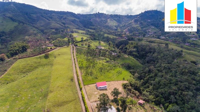 Lotes campestres en Pereira, con hermosas vistas de la región