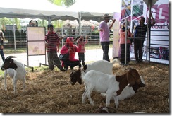 MAHA 2010 030