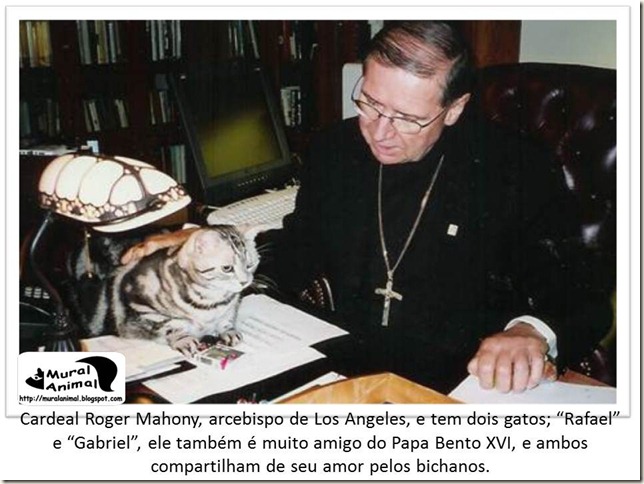 papa_ama_gatos (7)