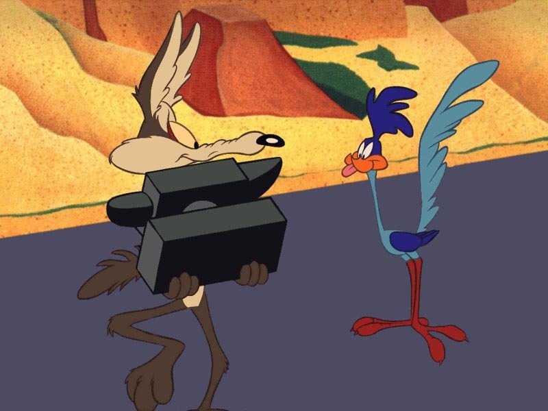 wile e coyote and roadrunner