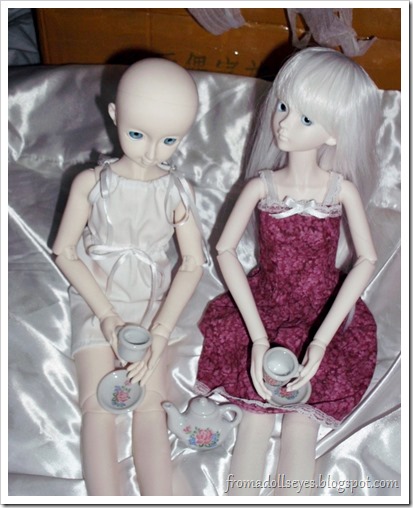Having Tea with the New Bjd Having Tea with the New Bjd