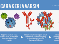 Cara Kerja Vaksin & Apakah Kita Perlu Vaksinasi?