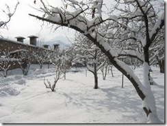 雪の止んだ昼