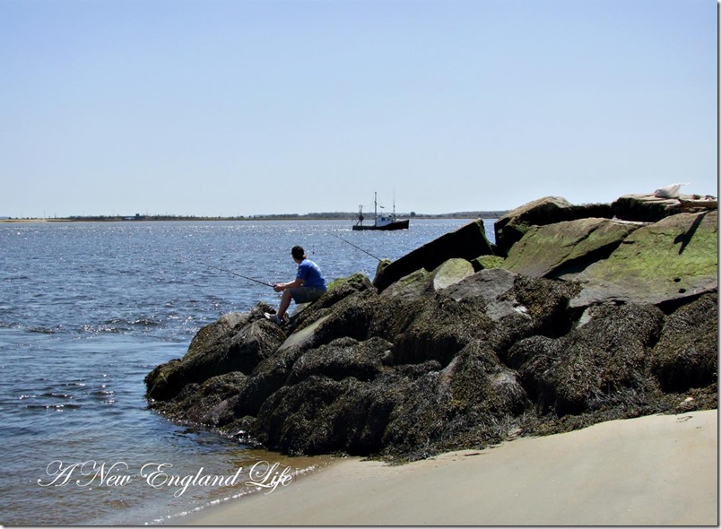 Fishing and boat