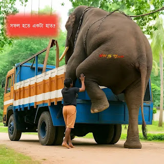 শুধু একটা হাত