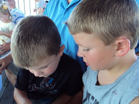 Florida Summer Vacation 2011 213
