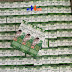 Phân Phối Thực Phẩm Thuốc Chức Năng  Trường Đại Hưng  , Kinh Doanh Thực Phẩm Thuốc Bổ Sung  Thái Bình