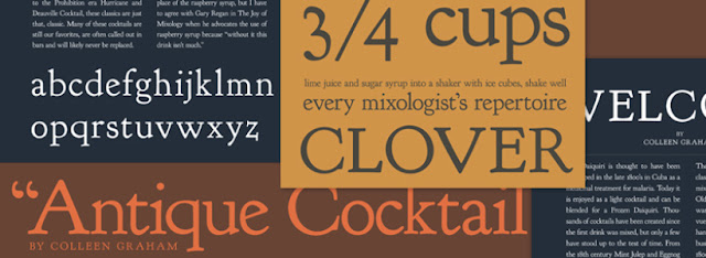 15 Professional Fonts for Graphic & Web Designers