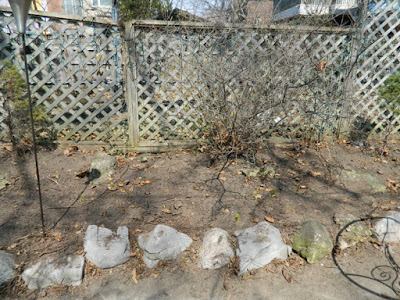 Riverdale Spring Cleanup After by Paul Jung Gardening Services--a Toronto Gardening Company