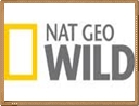 Natgeo Wild Online Gratis