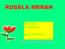 Roselle Merah