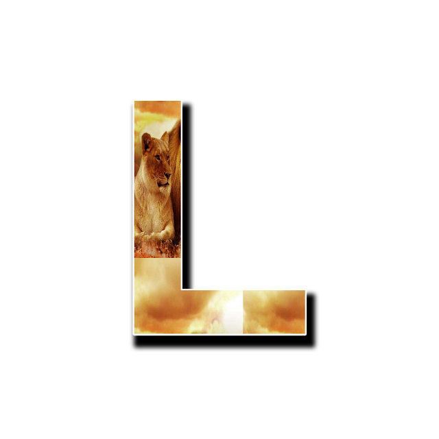 CAPITAL LETTER L, L with image