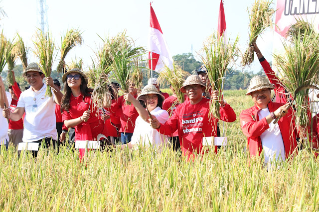   Pemkab Tabanan Panen Padi Nusantara 1 Juta Hektar di Subak Bengkel