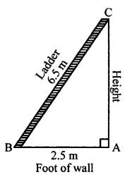 Selina Concise Mathematics Class 7 ICSE Solutions Chapter 16 Pythagoras Theorem