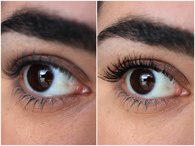 Maybelline The Falsies Push Up Drama Mascara Review