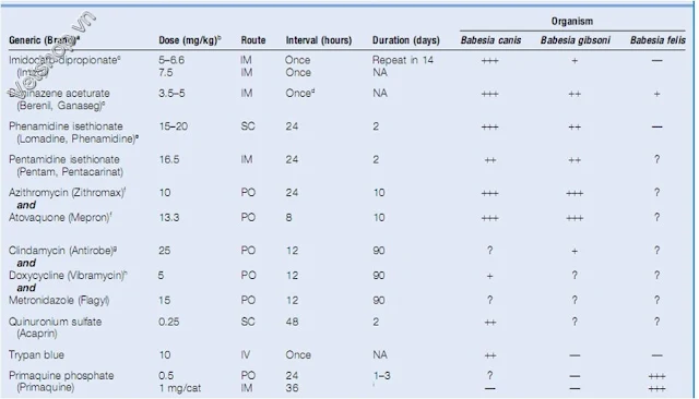 Bảng thuốc điều trị bệnh do Babesia trên chó mèo