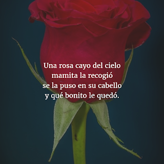 imagenes de poemas romanticos, imagenes de poemas romanticos cortos, imagenes de poemas romanticos para descargar, imagenes de poemas romanticos gratis, imagenes de poemas romanticos para facebook, imágenes de poemas romanticos, imagenes de poemas romanticos en español, imagenes de poemas romanticos para mi novia, imagenes de poemas romanticos largos, imágenes de poemas romanticos cortos, 