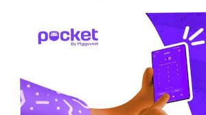 Pocket by PiggyVest: What Is It? How To Download & Use The New PocketApp