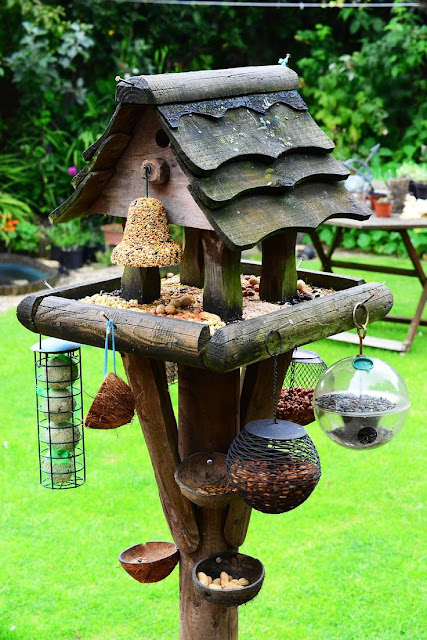 Bird Feeding Station Ideas