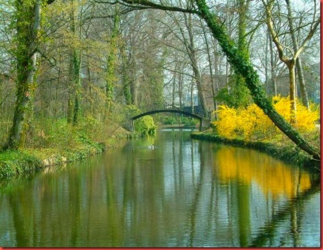Autumn Season 
