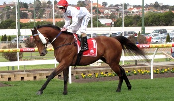 race6_reward for effort2 race6_reward for effort2