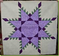 0309-Purple-Feathered-Star