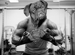 el físico de un hombre con muchos músculos haciendo ejercicio y con una cara de perro