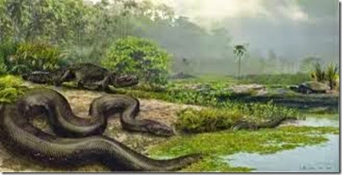 Titanoboa