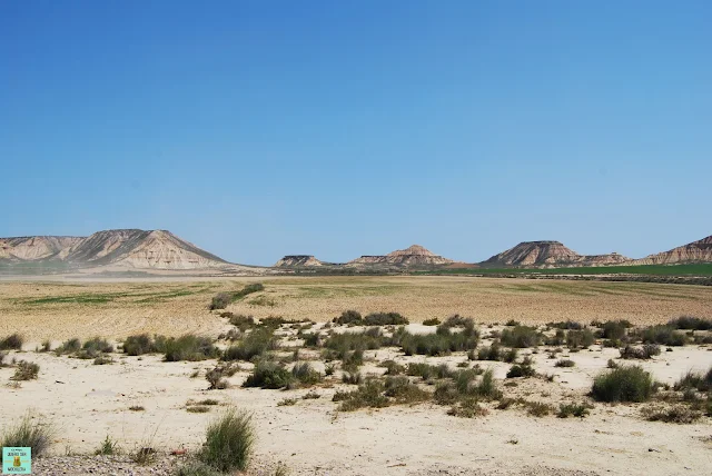 Bardena Blanca Baja, Navarra