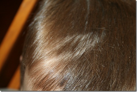 BrodyCutHisHair-4