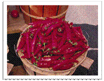 clip_image005