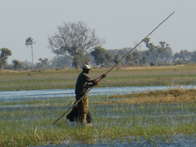 Mokoro en el rio Okawango