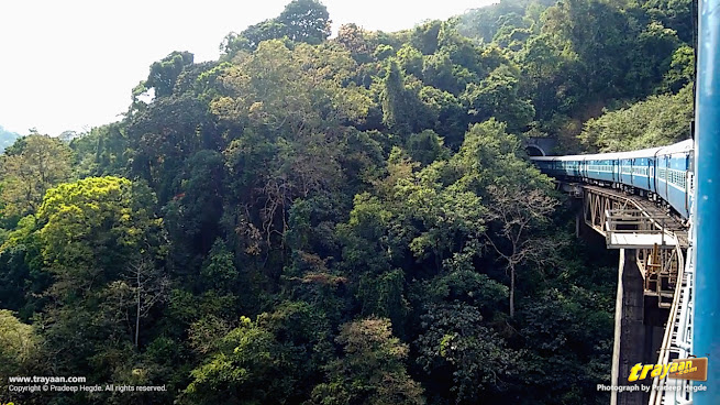 Train passing through high bridge over a gap between two mountains