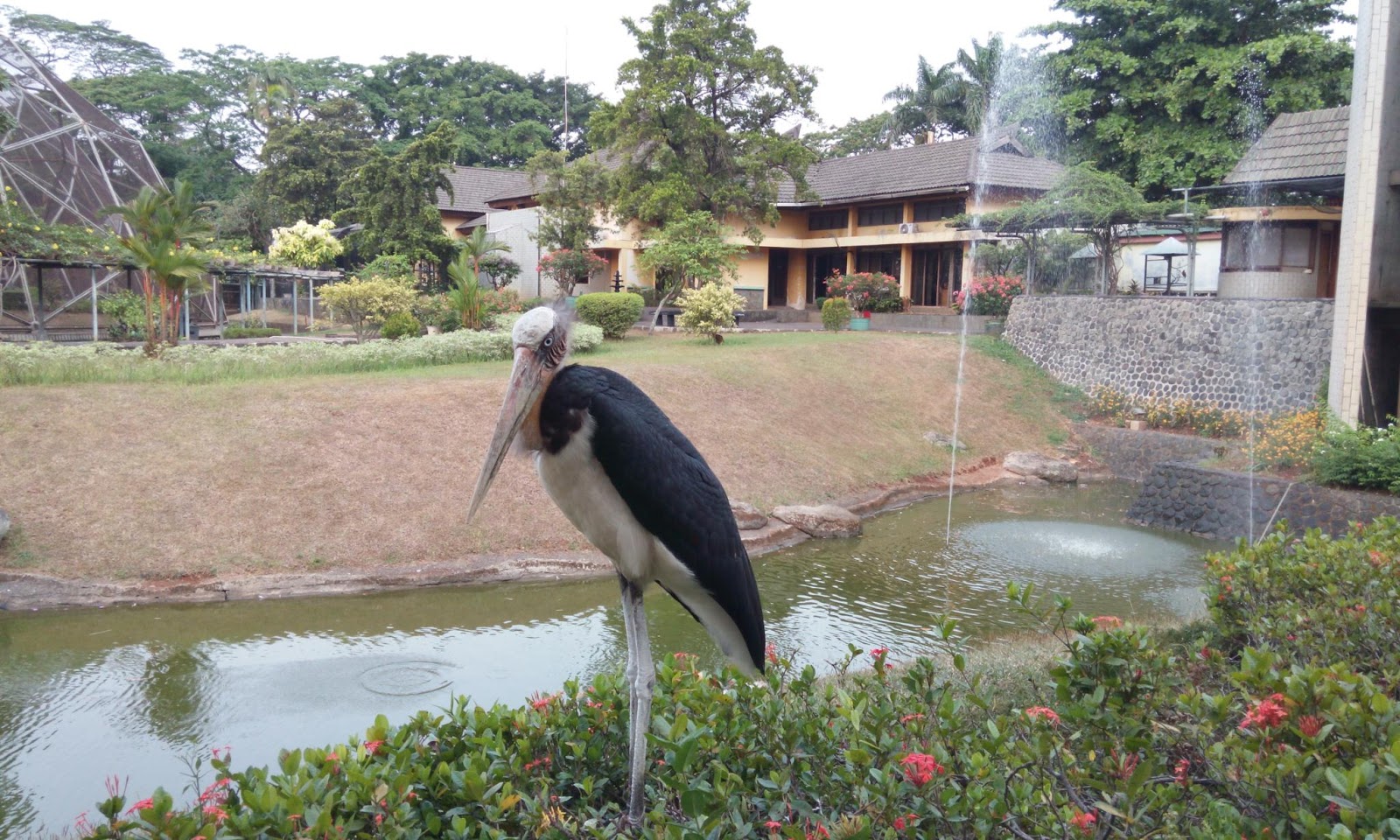 Acaranya Jalan Jalan Taman Burung TMII Jakarta