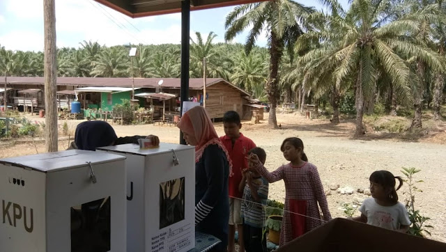 Mengawal Suara di Ladang Sabah, Catatan Pemilu Ketua KSK 