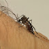 Saúde lança campanha após aumento da dengue, Zika e Chikungunya.