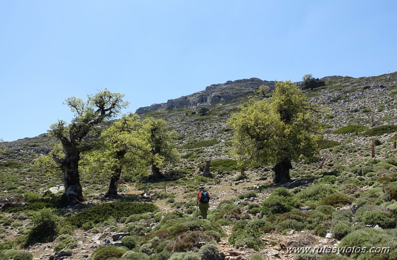 Mirador del Caucon-Tajo de la Caina-Peñón de los Enamorados