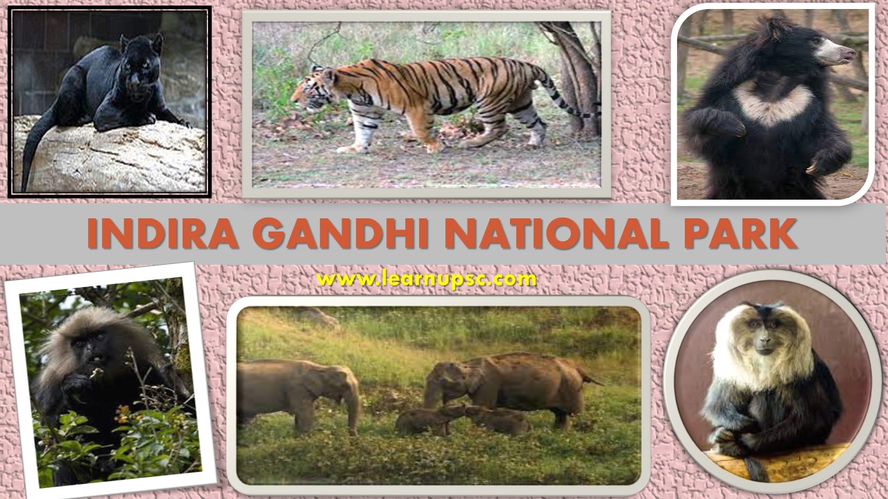 Indira Gandhi National Park - Learn UPSC